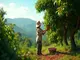 discovering-the-art-of-coffee-cultivation-in-english