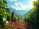ethical-choices-exploring-the-world-of-fairtrade-coffee-cultivation