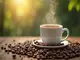 hochwertiger-kaffeegenuss-mit-rioba-bio-kaffee